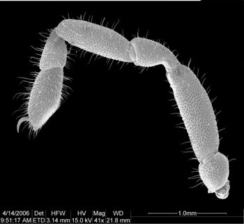 Media type: image;   Invertebrate Zoology 133769
